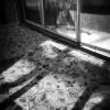 Floral Fabric with Shadows